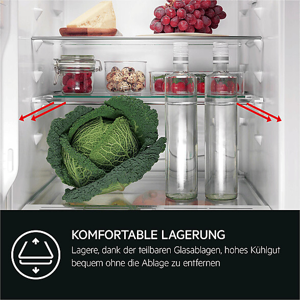 AEG TSK5O88WDF Vollraumkühlschrank  Inhalt Kühlbereich 137 Liter Einbau