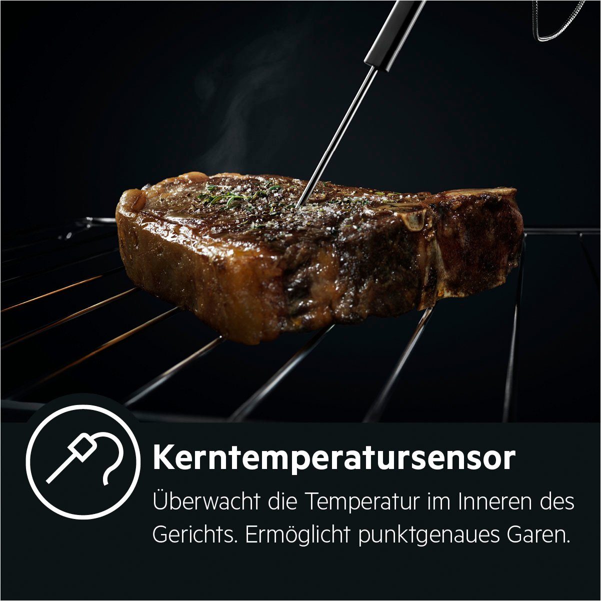 AEG BPE742220 Einbaubackofen  70 Liter  Heißluftgrill  Pyrolyse  Bratenthermometer  Heißluft  Grill 